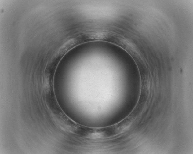 X0000088450312200705221344