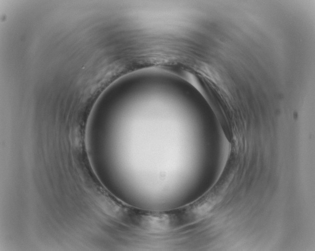 X0000088450317200705221344