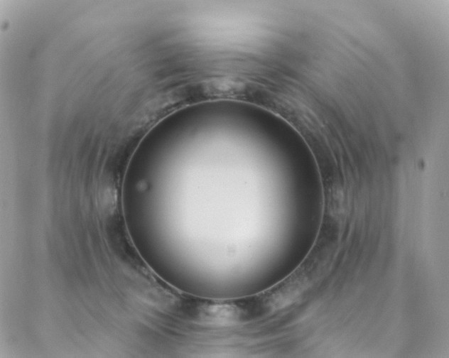 X0000088450324200705221344