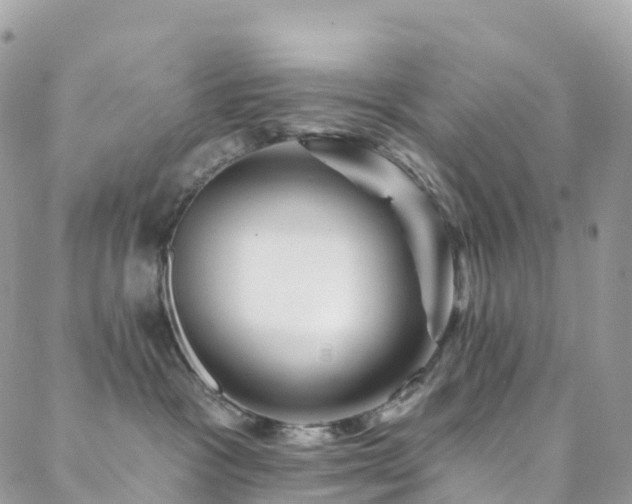X0000088450333200705221343