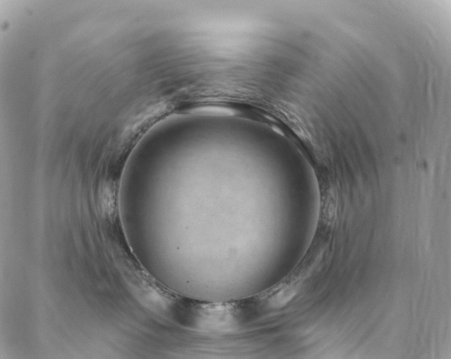 X0000088450335200705221343