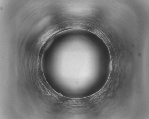 X0000088450338200705221343