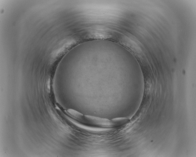 X0000088450358200705221343