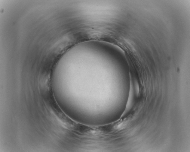 X0000088450364200705221343
