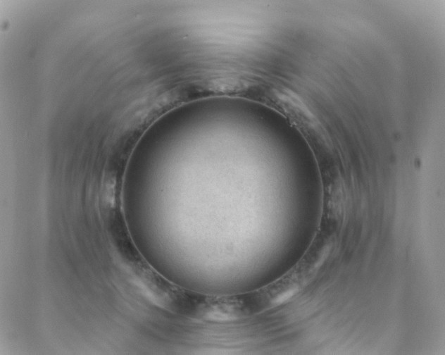 X0000088450368200705221343