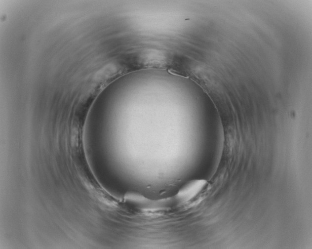 X0000088450379200705221343