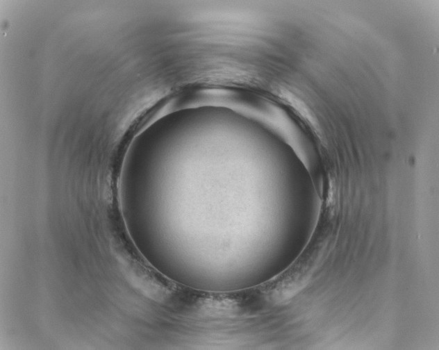 X0000088450403200705221342