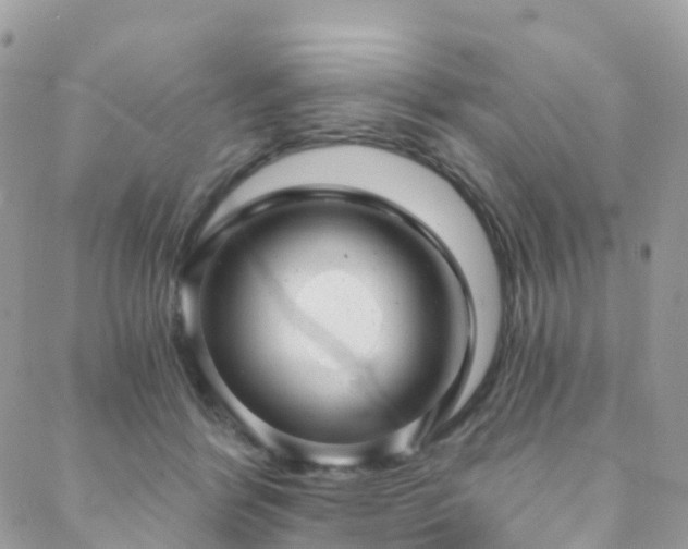 X0000088450412200705221342
