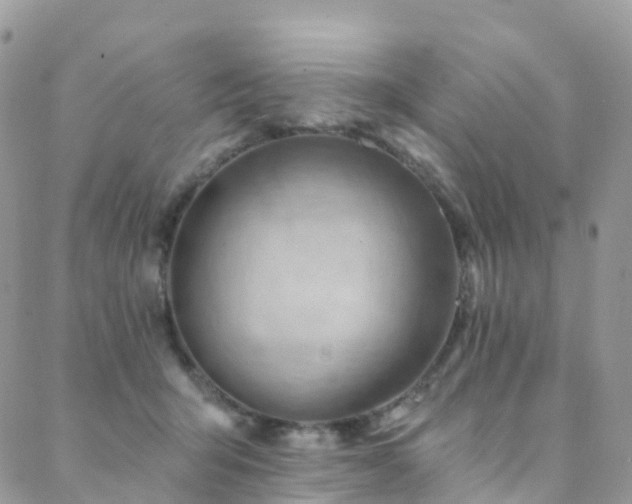 X0000088450415200705221342
