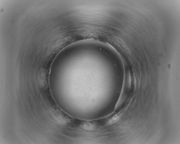 X0000088450416200705221342
