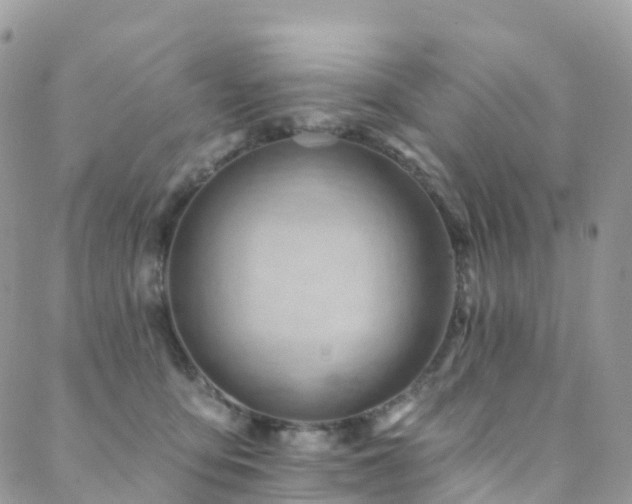 X0000088450419200705221342