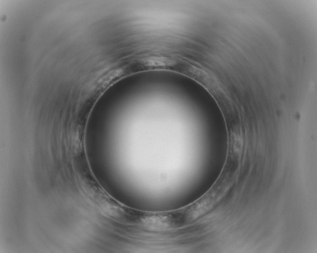 X0000088450422200705221342