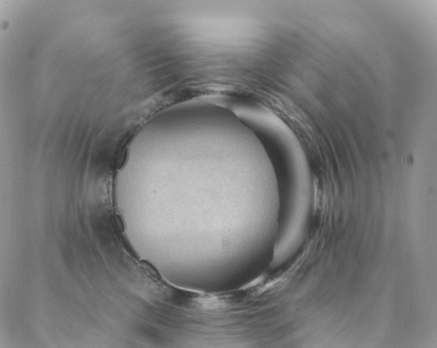 X0000088450425200705221342