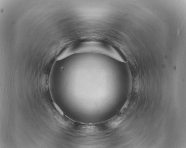 X0000088450428200705221342