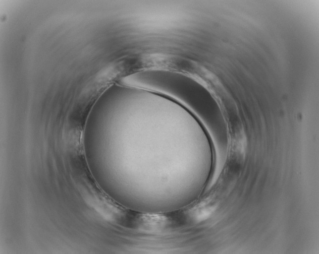 X0000088450429200705221342