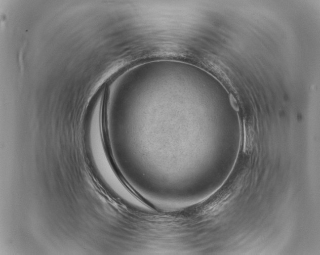 X0000088450435200705221341