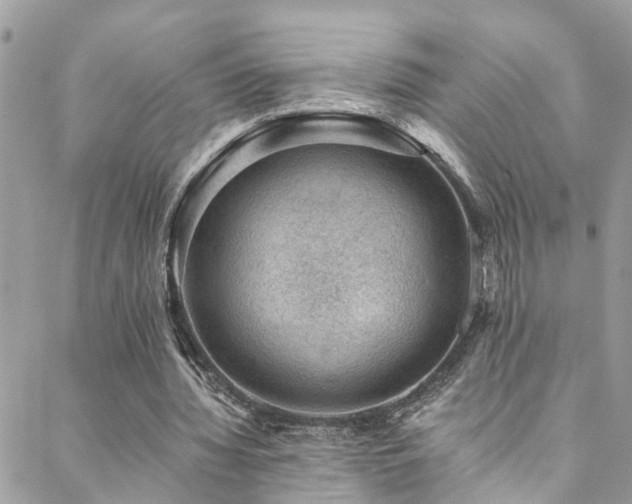 X0000088450436200705221341