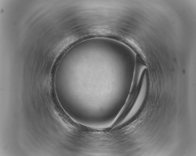 X0000088450439200705221341