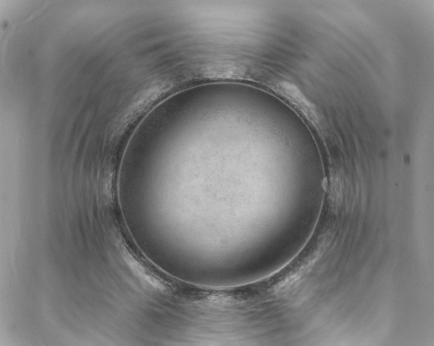 X0000088450441200705221341