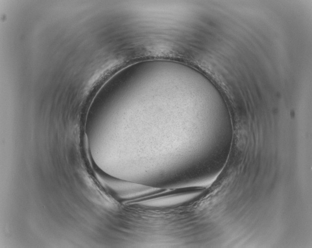 X0000088450442200705221341