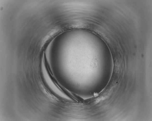 X0000088450446200705221341
