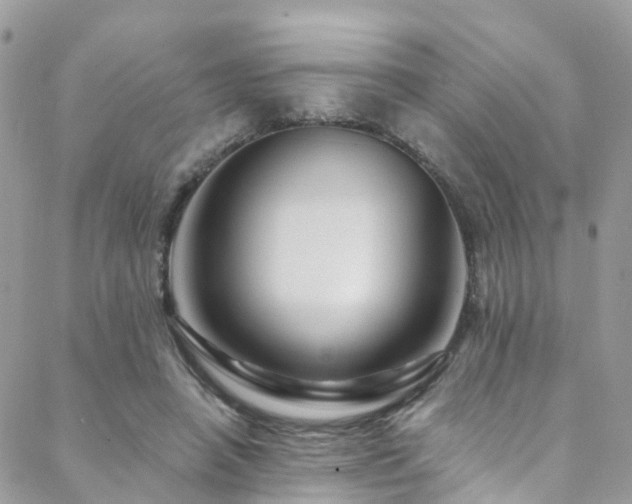 X0000088450450200705221341