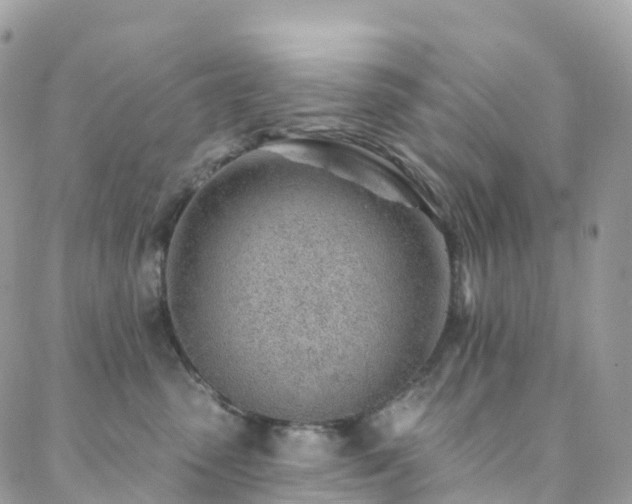 X0000088450475200705221342