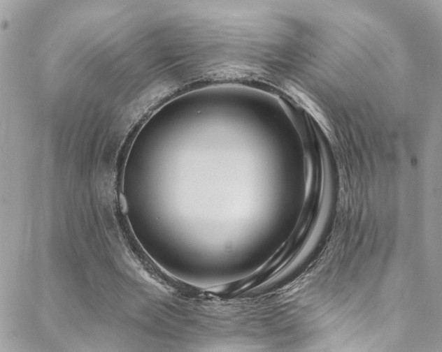 X0000088450485200705221341