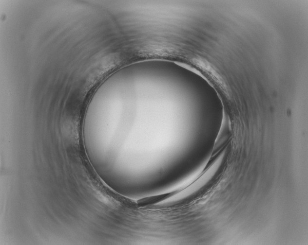 X0000088450489200705221341
