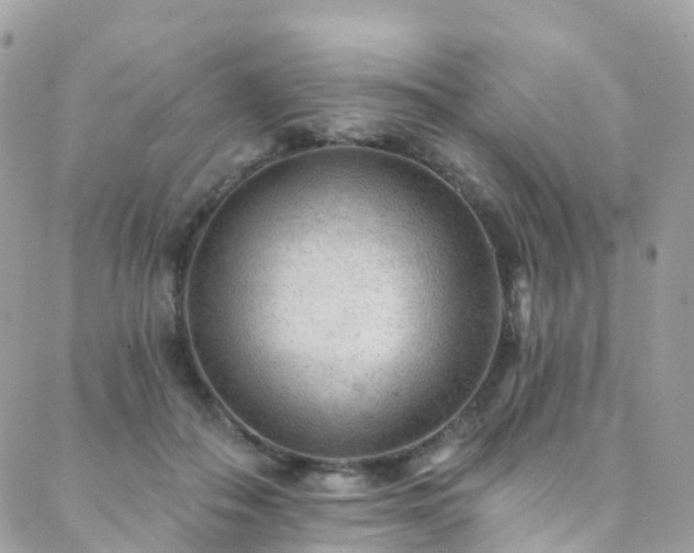 X0000088450506200705221341