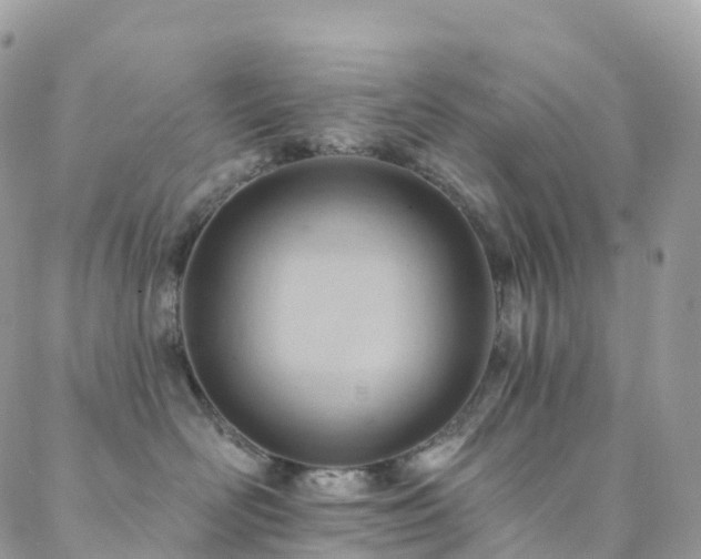 X0000088450526200705221340