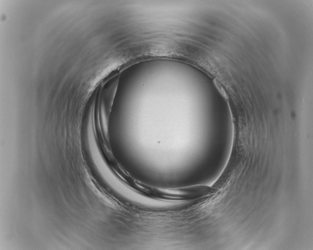 X0000088450530200705221340
