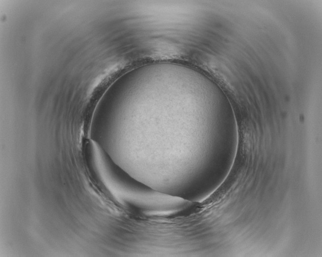 X0000088450539200705221340