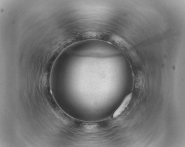 X0000088450560200705221340