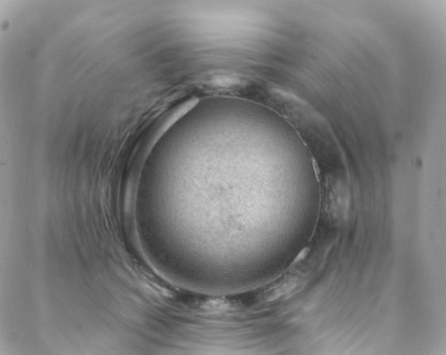 X0000088450562200705221340