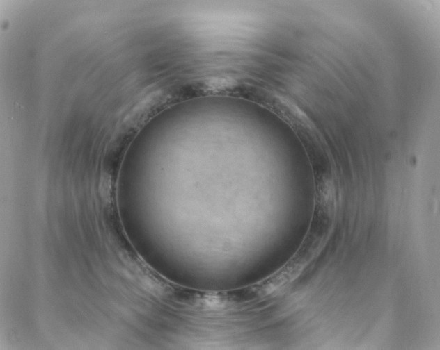 X0000088450565200705221340