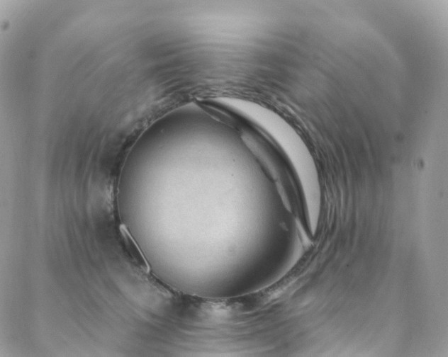 X0000088450613200705221339