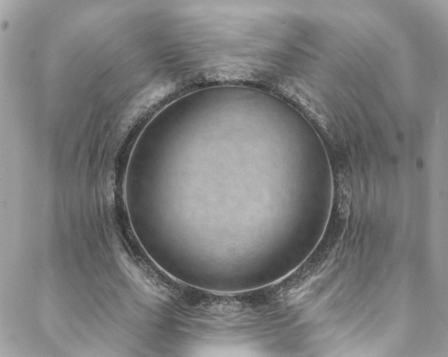 X0000088450631200705221338