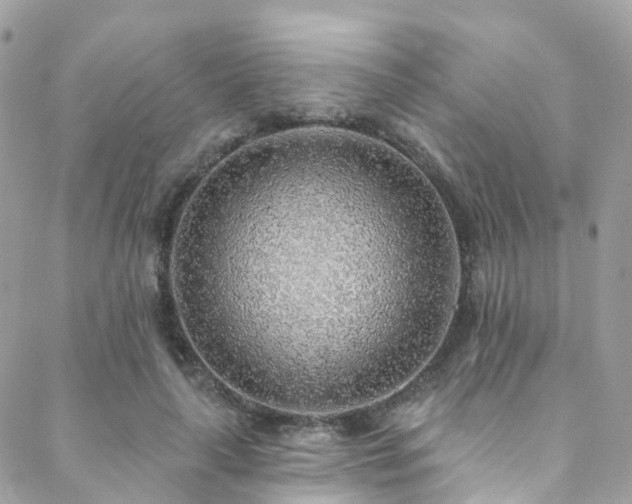 X0000088450643200705221338