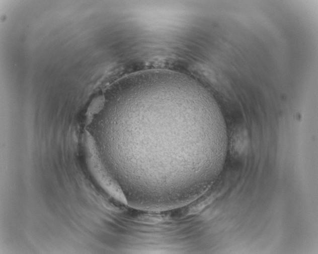 X0000088450661200705221339