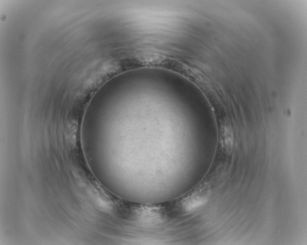 X0000088450664200705221339