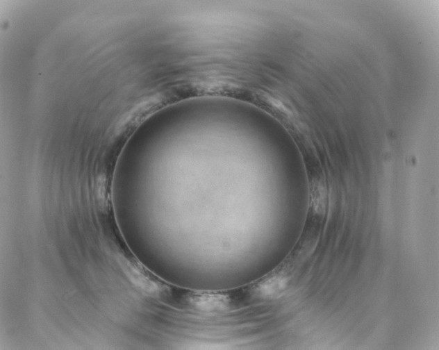 X0000088450670200705221339