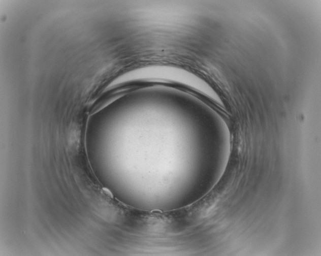 X0000088450697200705221338