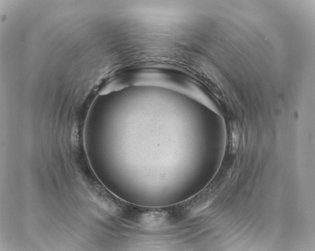 X0000088450700200705221338