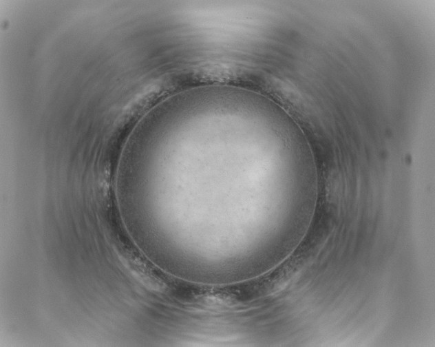 X0000088450737200705221337