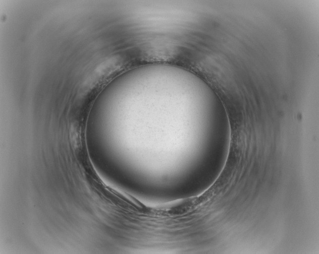 X0000088450743200705221337