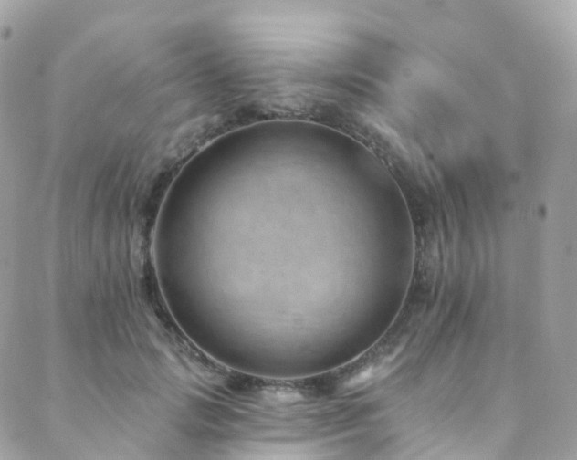 X0000088450749200705221337