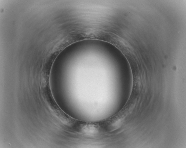 X0000088450751200705221337