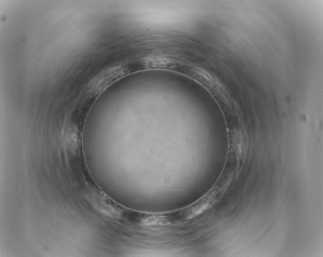 X0000088450761200705221337