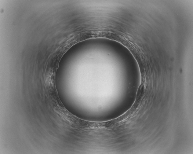 X0000088450770200705221336